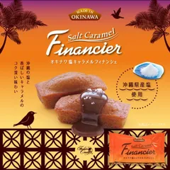 オキナワ塩キャラメルフィナンシェ 10個入 2個セット 送料無料 ファッションキャンディ 沖縄県産塩 沖縄土産 個包装 ばらまき