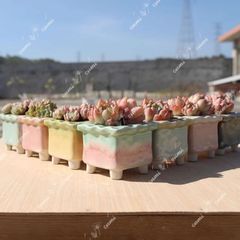 Item thumbnail for item 98b2b56e-d438-43aa-9c02-ec8dd8a46936