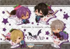 【中古】クリアファイル B.UNDEAD/Knights A4クリアファイル 「あんさんぶるスターズ!×animatecafe」 アニメイトカフェ限定