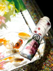 Item thumbnail for item 8d80b2e1-0361-4ef2-bfd1-820d7d7d2c6e