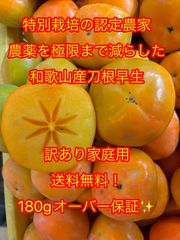 180g大玉保証！極限減農薬特別栽培の刀根早生柿/訳アリ！かつらぎ町産(K180-1kg)