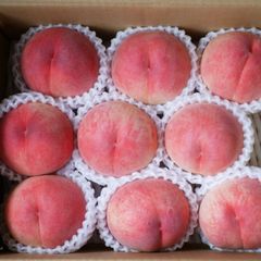 クール便　特秀　川中島白桃２ｋｇ（９玉）　８月２０日前後〜出荷　地元JA選果【配送先：東北～関西地域】