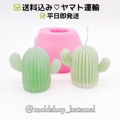 サボテン（両手） 夏　砂漠　シリコンモールド シリコン型 (E69)