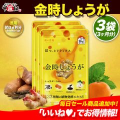 ●おまけ付き● ＼【徳用】90日分まとめ買い半額！／一般的な生姜の約4倍！寒さやダイエットに話題　金時しょうが約3ヵ月分 【甲羅組】【祖の食庵】【サプリ】