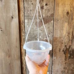 ワールド オンラインストア 透明スリット鉢（ ネガミエル ）【 3号ロング × 5個SET 鉢・プランター