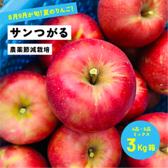 8月21日から9月15日発送 指定日不可「つがる3キロ箱A品B品ミックス」 農林水産大臣賞 長野県産 安曇野 信州産 産地直送