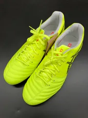 アシックス DS LIGHT X-FLY PRO 2 PARIS (1101A074-750)