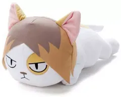 【中古】ぬいぐるみ 音駒ネコ(孤爪) BIGぬいぐるみ 「ハイキュー!!」