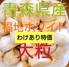ももです‼️鹿児島県産 農薬不使用 2026年産 平戸(バラ)5kg うちわ様専用です！鹿児島県産 農薬不使用 2026年産 平戸(バラ) 5kg