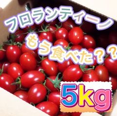 【フロランティーノ5㎏】高糖度フルーツミニトマト　2021/12/13出荷分
