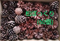松ぼっくり (60個) 自然 リース素材 工作素材 ハンドメイド