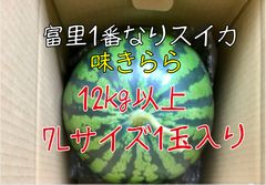 富里1番なりスイカ味きらら3Lサイズ2玉入り 富里1番なりスイカ味きらら3Lサイズ2玉入り - メルカリ