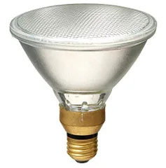 新品 90W 1250lm 電球 照明 EBRF110V90W ハロゲンビームランプ散光 (ELPA) エルパ