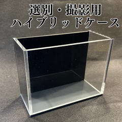 【五藤めだか】選別・撮影ハイブリッドケースAB品(黒、グレー) メダカ用