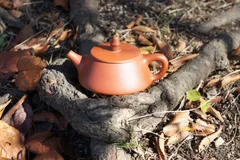Purple sand clear cement flat bottom teapot　紫砂壺 中国茶器 茶道具 泡茶 茶壺 茶杯 ティーポット 急須