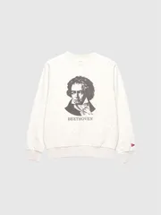 Healthknit ヘルスニット クルーネック スウェット トレーナー メンズ レディース 裏起毛 ベートーヴェン ベートーベン ラグラン 長袖 裏起毛 54018