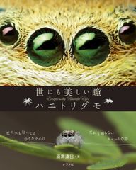 雑誌「面白半分」14冊 筒井康隆編集 タモリ連載 77年7月号～78年8月号