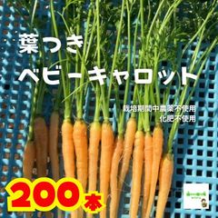 ニコレルファーム ～ nicorel farm ～