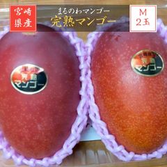 マンゴー 【まるのわマンゴー】 完熟マンゴー M 2個 宮崎県宮崎市 《5/上～5/中の出荷》