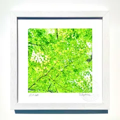 2024年最新】インテリア 絵画 版画の人気アイテム - メルカリ