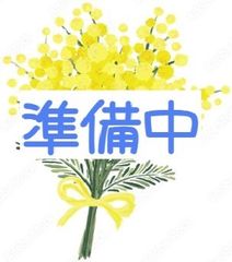 [苗]ホースラディッシュ(西洋ワサビ)