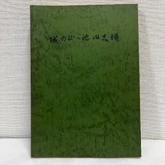 城の山 池田古墳 和田山町教育委員会 兵庫県朝来郡 昭和57年 発掘調査報告書 考古学