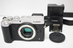 2024年最新】lumix dmc-gx8 ボディの人気アイテム - メルカリ