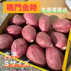 鳴門金時 丸芋 Sサイズ 1.4kg前後