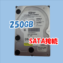 【中古動作品】Western Digital  3.5インチ HDD SATA(Serial ATA)  250GB WD2500AAJS-41RYA0