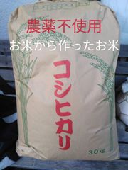 令和4年産　農薬不使用　お米から作ったお米コシヒカリ玄米　25キロ