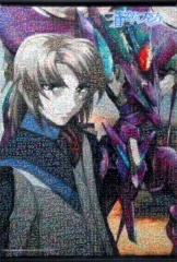 【中古】タペストリー 皆城総士 B2タペストリー 「Blu-ray BOX 蒼穹のファフナー EXODUS」 アニメイト購入特典