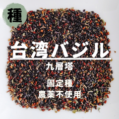 【種】台湾バジル　九層塔　農薬不使用　150粒