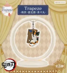 鬼滅の刃 Trapeze フィギュア コンプリートセット 全9種 鬼滅の刃 Trapeze フィギュア コンプリートセット 計9個 - メルカリ