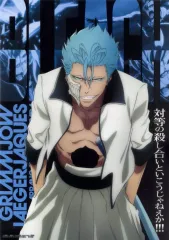 ブリーチ　クリアポスター　A3 新品未使用 D賞 京楽春水 (クリアポスター サイズ：A3) 】 一番くじ BLEACH