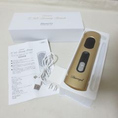 W726　ダイアナ　ディアンジェ　EMS ビューティーブラシ　ヘアケア