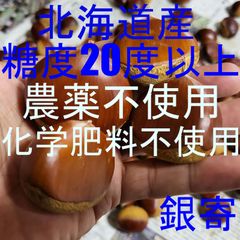 小粒　北海道産　栗　銀寄　虫止め処理済み　農薬、化学肥料不使用　自然栽培