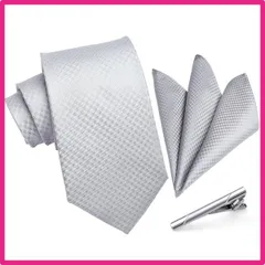 Free Size_01シルバー（マイクロチェック） [HISDERN] [ヒスデン] フォーマル シルバー ネクタイ チーフ セット メンズ 結婚式 無地 ネクタイ 3点セット 紳士用 入学式 卒業式 プレゼント TC624A8S3