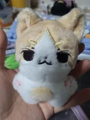 2025年最新】seventeen ドール ジュンの人気アイテム - メルカリ