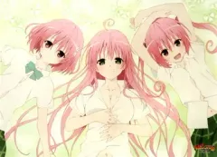 2026年最新】タペストリ to loveる －とらぶるの人気アイテム - メルカリ