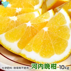 (残りわずか) 河内晩柑 10kg 特別栽培 化学肥料・除草剤不使用 熊本県産 鹿児島県産 かわちばんかん 発送期間3月～7月上旬のサムネイル