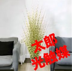 光触媒　人工観葉植物　ウォールグリーン　フェイクグリーン　ゼブラグラスポットyyy