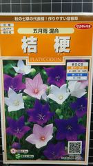 桔梗 五月雨 キキョウ 種 ３袋セット