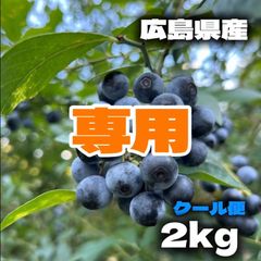 【専用】購入前にコメントお願い致します様　冷凍ブルーベリー　6キロ ヒロヒロ様専用 ブルーベリー 6㎏ - メルカリ