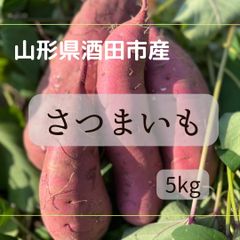 【ねっとり】【熟成】山形県酒田市産　さつまいも5Kg【お買い得】【紅はるか】