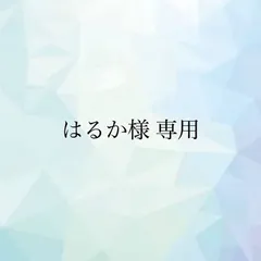 はるか様 専用(樹脂)