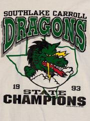 90s 1993 champions DRAGONS カレッジ　シングルステッチ　ヴィンテージ tシャツ