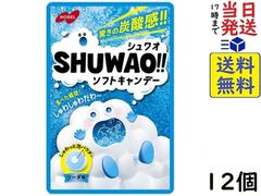 ノーベル SHUWAO!!(シュワオ) ソーダ 30g×12個 賞味期限2026/02