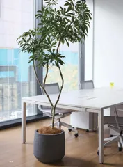KONTONコントン ライム LIME ベース鉢カバー 35cm lime-pot-3_0001.jpg?1721708578
