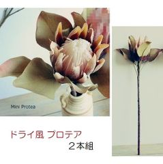 ドライ調　プロテア　２本組　ライトブラウン　フラワーピック　造花　フェイクフラワー