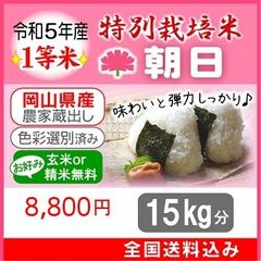 ハヤシライス@蔵出し農家直送 - メルカリShops ハヤシライス@蔵出し農家直送 - メルカリShops